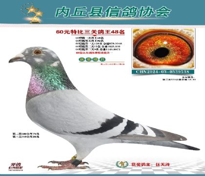 三關(guān)綜合48名
