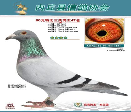 三關(guān)綜合47名