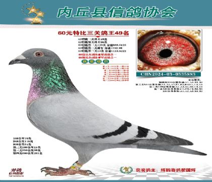 三關(guān)綜合49名
