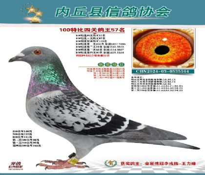 特比四關(guān)鴿王57名