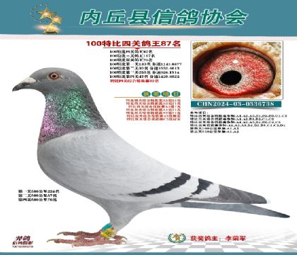 特比四關(guān)鴿王87名