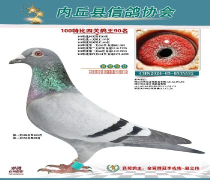 特比四關(guān)鴿王90名