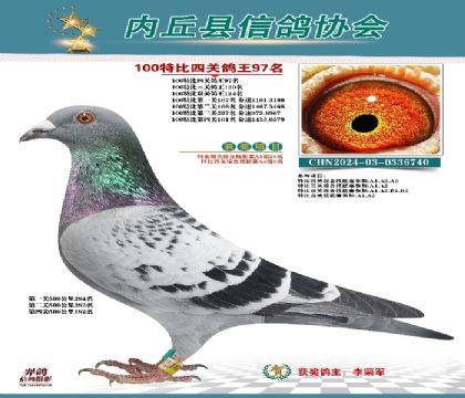 特比四關(guān)鴿王97名