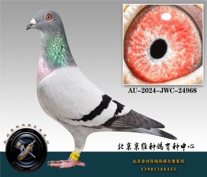 2-AU-2024-JWC-24968