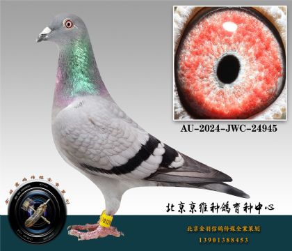 5-AU-2024-JWC-24945