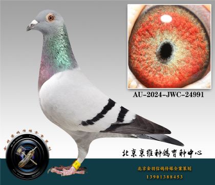 10-AU-2024-JWC-24991