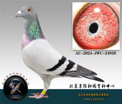 12-AU-2024-JWC-24920