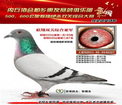 聯(lián)翔雙關(guān)綜合亞軍