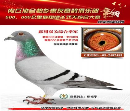 聯(lián)翔雙關(guān)綜合季軍