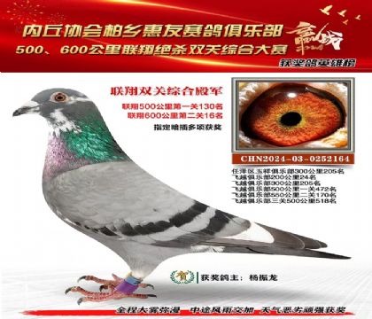 聯(lián)翔雙關(guān)綜合殿軍