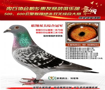 聯(lián)翔雙關(guān)綜合冠軍