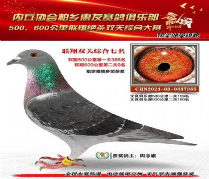 聯(lián)翔雙關(guān)綜合7名