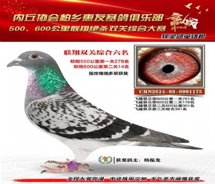 聯(lián)翔雙關(guān)綜合6名