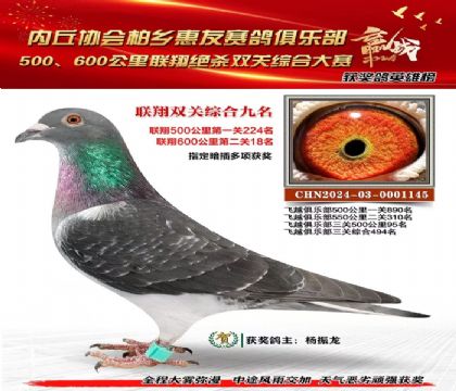 聯(lián)翔雙關(guān)綜合9名