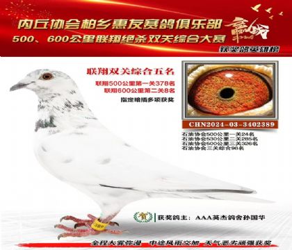 聯(lián)翔雙關(guān)綜合5名