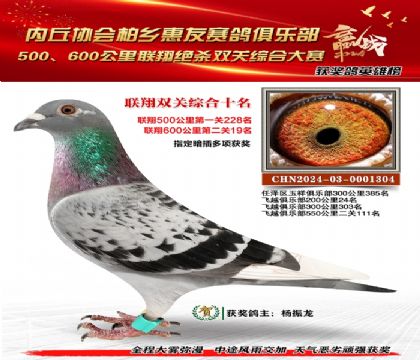 聯(lián)翔雙關(guān)綜合10名