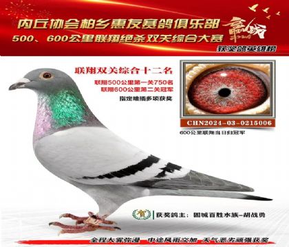 聯(lián)翔雙關(guān)綜合12名