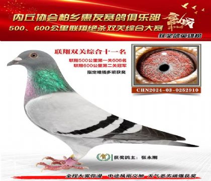 聯(lián)翔雙關(guān)綜合11名
