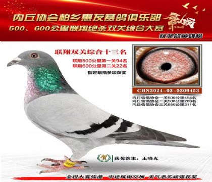 聯(lián)翔雙關(guān)綜合13名