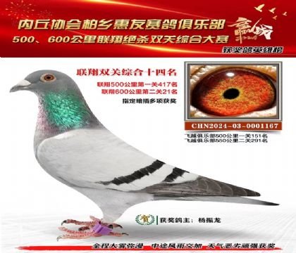 聯(lián)翔雙關(guān)綜合14名