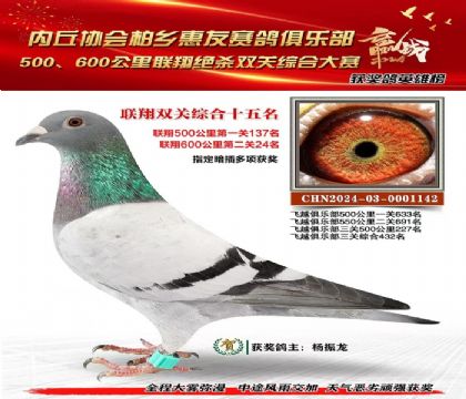 聯(lián)翔雙關(guān)綜合15名