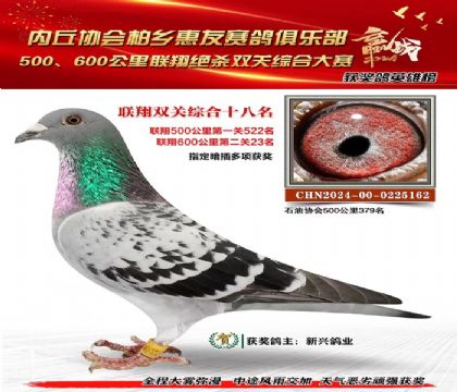 聯(lián)翔雙關(guān)綜合18名