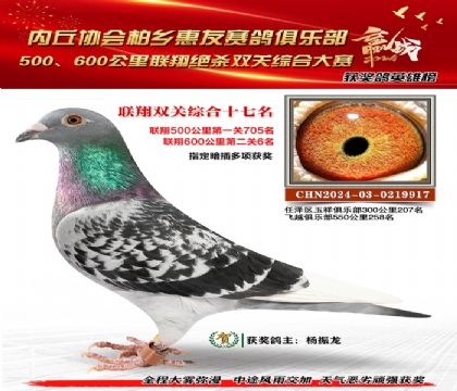 聯(lián)翔雙關(guān)綜合17名