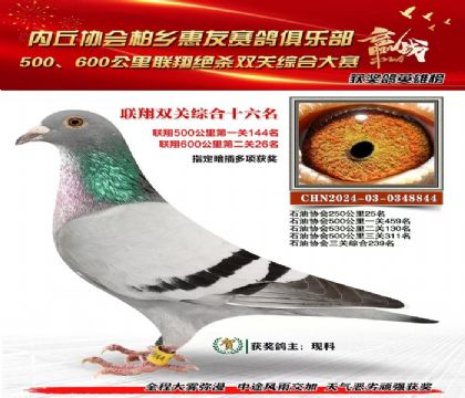 聯(lián)翔雙關(guān)綜合16名