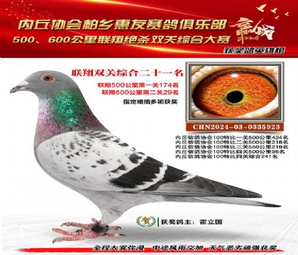 聯(lián)翔雙關(guān)綜合21名