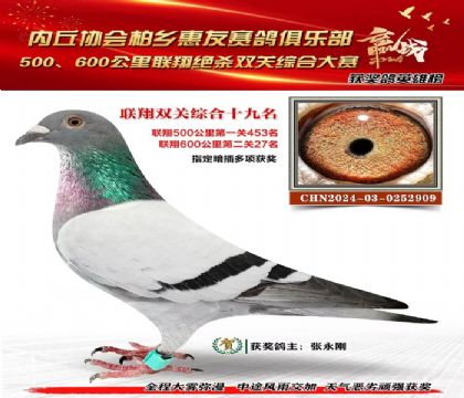 聯(lián)翔雙關(guān)綜合19名