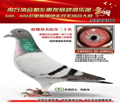 聯(lián)翔雙關(guān)綜合20名