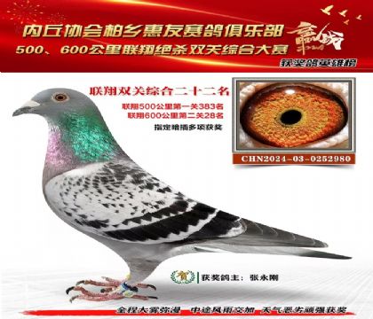 聯(lián)翔雙關(guān)綜合22名