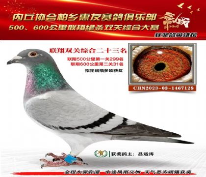 聯(lián)翔雙關(guān)綜合23名
