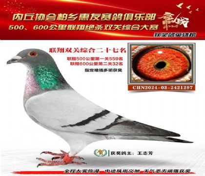 聯(lián)翔雙關(guān)綜合27名