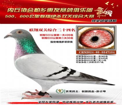 聯(lián)翔雙關(guān)綜合24名