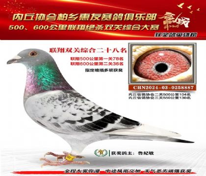 聯(lián)翔雙關(guān)綜合28名