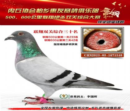 聯(lián)翔雙關(guān)綜合30名