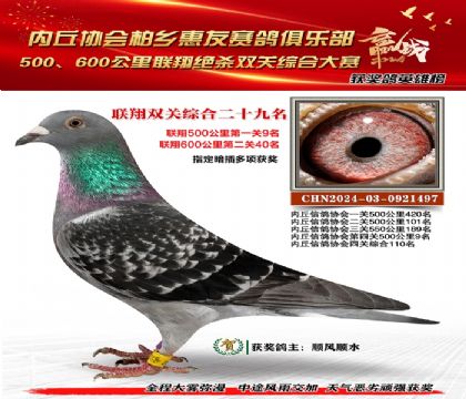 聯(lián)翔雙關(guān)綜合29名