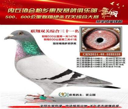 聯(lián)翔雙關(guān)綜合31名