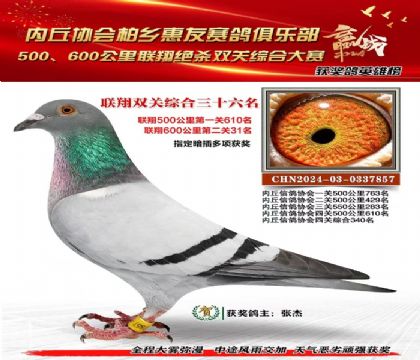 聯(lián)翔雙關(guān)綜合36名