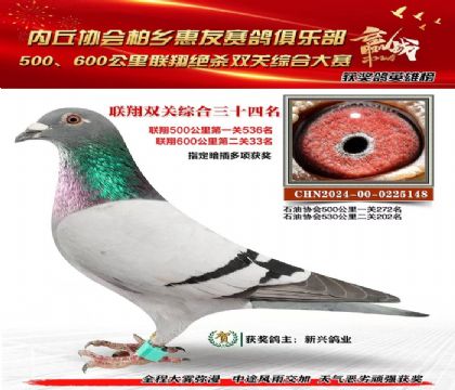 聯(lián)翔雙關(guān)綜合34名