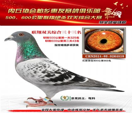 聯(lián)翔雙關(guān)綜合33名