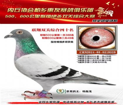 聯(lián)翔雙關(guān)綜合40名