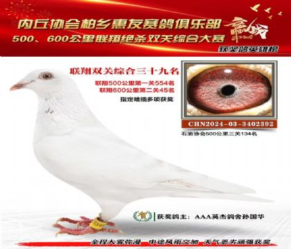 聯(lián)翔雙關(guān)綜合39名