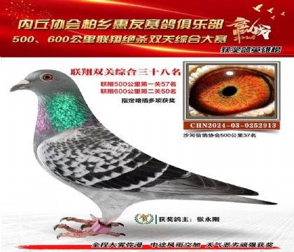 聯(lián)翔雙關(guān)綜合38名