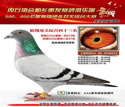 聯(lián)翔雙關(guān)綜合43名