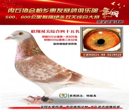 聯(lián)翔雙關(guān)綜合45名