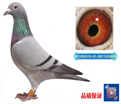 ̩_(chung)رȭh(hun)