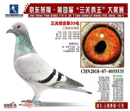 三關(guān)鴿王33名