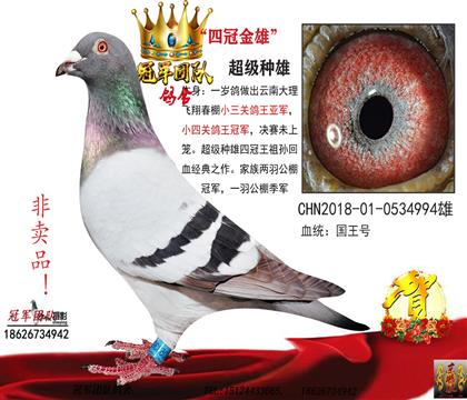 游һĹֱ